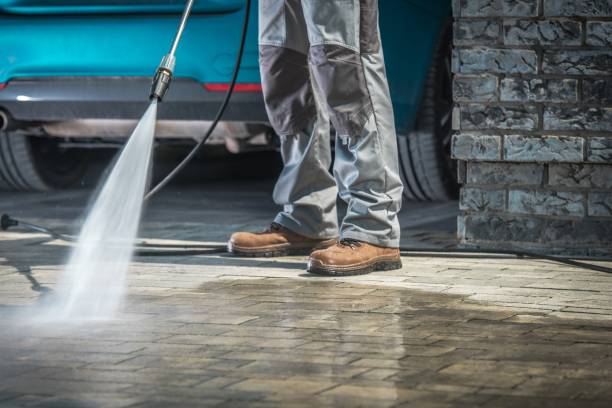 Best Driveway Pressure Washing  in East St Louis, IL